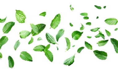 Whimsical Green Mint Leaves in Flight