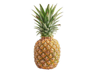 Fototapeta premium A ripe pineapple with green leaves isolated on a black background.
