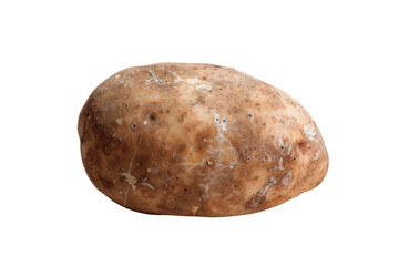 Obraz premium A single brown potato isolated on a white background.