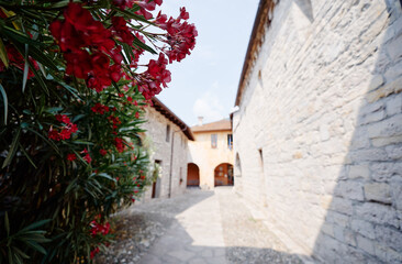 Ancient stone building with blooming bush