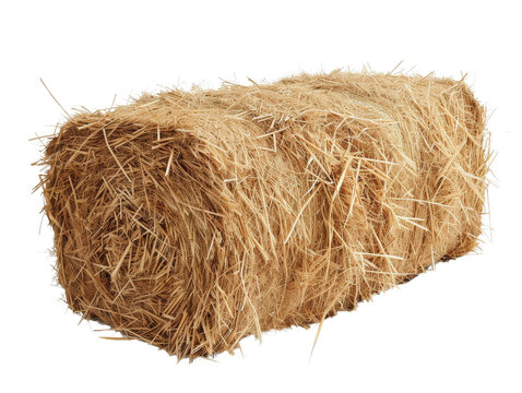 A tightly packed bale of hay, golden brown, isolated on a white background.