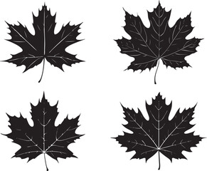 set of maple leaves silhouettes