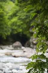 山中に流れる清らかな川。