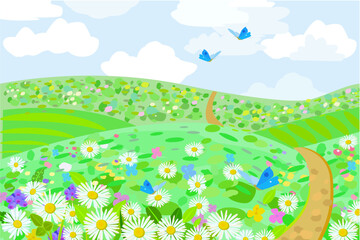 Fototapeta premium cloudy hill scenery with colorful blooming fields, a path and fl