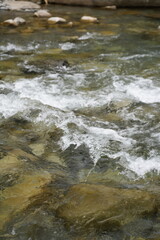 山中に流れる清らかな川。