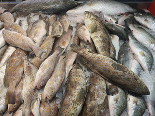 Pile of fresh fishes on market stall.