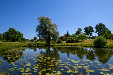 Beautiful lake and scenary in the Latvian countryside