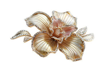 Obraz premium Brooch Adorned with Gems Isolated on white background