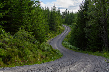 Gravel road in Sweden