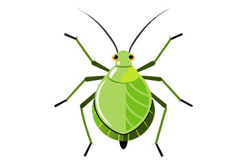 Aphid  vector artwork and illustration svg file