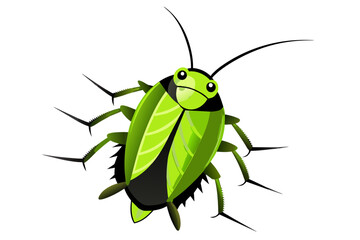 Cockroach  vector artwork and illustration svg file