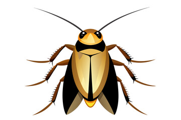 Cockroach  vector artwork and illustration svg file