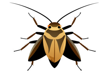 Cockroach  vector artwork and illustration svg file