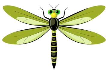 Dragonfly vector artwork and illustration svg file