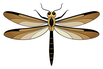 Dragonfly vector artwork and illustration svg file
