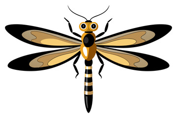 Dragonfly vector artwork and illustration svg file