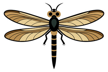 Dragonfly vector artwork and illustration svg file