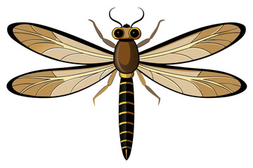 Dragonfly vector artwork and illustration svg file
