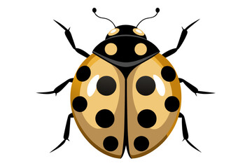 Ladybug  vector artwork and illustration svg file