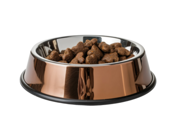 Pampered Pal's Dining Spot: Pet Food Bowl