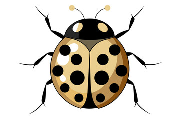 Ladybug  vector artwork and illustration svg file