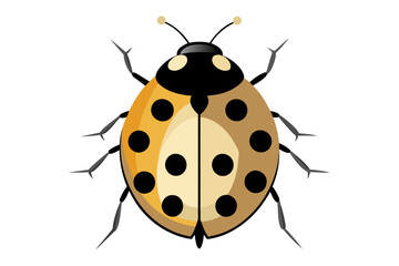 Ladybug  vector artwork and illustration svg file