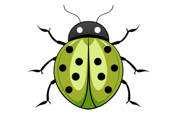 Ladybug  vector artwork and illustration svg file