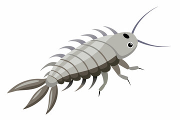 Silverfish insect vector artwork and illustration
