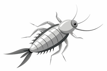 Silverfish insect vector artwork and illustration