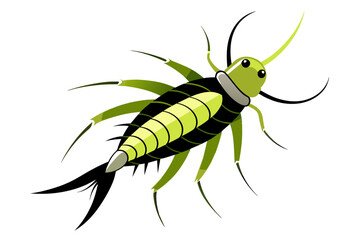 Silverfish insect vector artwork and illustration