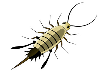 Silverfish insect vector artwork and illustration