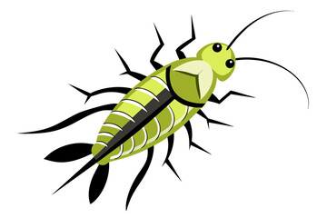 Silverfish insect vector artwork and illustration