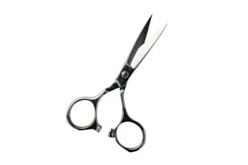 Grooming Guru: Mastering Pet Clippers for Furry Friends