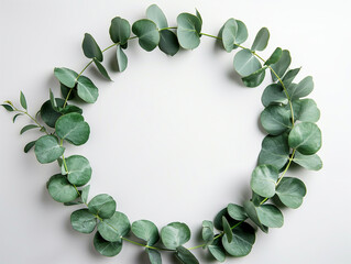 Creative round frame decorated evergreen branch of Eucalyptus plant