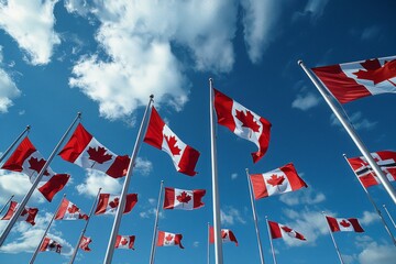 Obraz premium Canada Day flags: A scene with multiple Canadian flags waving in the breeze, set against a bright blue sky.