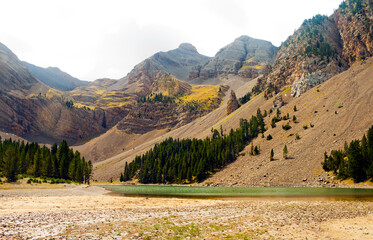Alpine lake of the Pyrenees, with fir forest on the slopes.