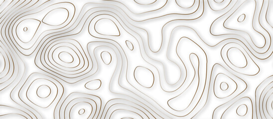 Abstract 3d wave paper curved reliefs background .gradient multicolor wave curve lines banner background design .3d topographic contours map background .Vector 3d geographic contour map.