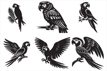 Parrot Bird silhouette vector Illustrator set