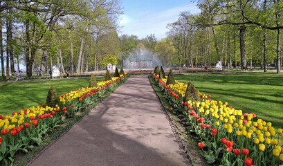 Russia, Saint-Petersburg. The famous park in Peterhof.