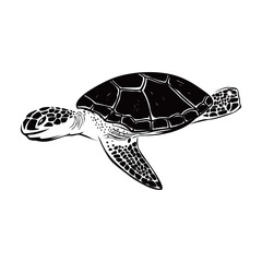 sea turtle silhouette design. ocean reptile sign and symbol.