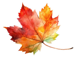 Fototapeta premium Watercolor maple leaf illustration in autumn colors, perfect for fall and nature themes. Isolated on transparent background, png.