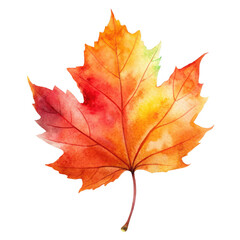 Fototapeta premium Watercolor autumn maple leaf illustration in vibrant shades of red, orange, and yellow, perfect for fall and nature themes. Isolated on transparent background, png.