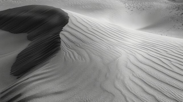 The soft grains of sand shift and swirl creating unique formations that are constantly changing with the wind.