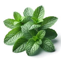 create keyword that one by one semicolon create most useful 50 keywords from those title: