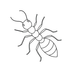 Fototapeta premium ant line art for coloring page
