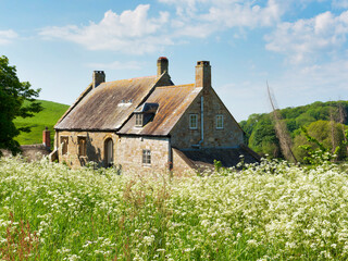 Obraz premium An old cottage surrounded by tall overgrown wildflowers in a rural setting surrounded by green hills hills against a blue spring sky. 