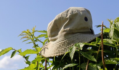Obraz premium hat on a spring lake at noon