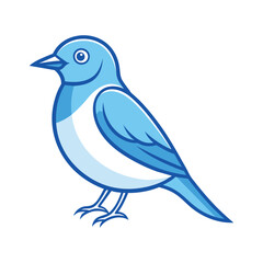 blue bird on a white background