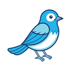 Obraz premium blue bird isolated on white
