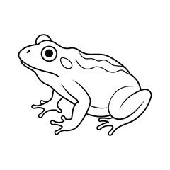 vector line art frog on a white background